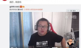 大师兄视频,探寻武术传承与精神内核